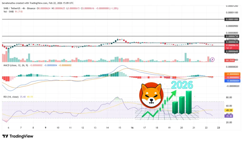 تحلیل قیمت شیبا در ۲۰۲۶